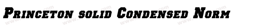 Princeton solid Condensed Normal字体转换